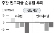 <글로벌 자금 풍향계> 급격한 자금이탈 불구…위험선호 재개 기대감