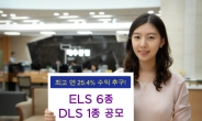 KDB대우證, ELS 6종 DLS 4종 공모