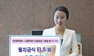 신한금융투자, 월지급식 등 ELS 6종 판매