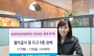 신한금융투자, 월지급식 등 ELS 6종 판매