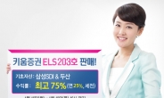 키움증권, 연 최고 25% 수익 ELS 203호 판매