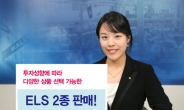 우리투자증권, ELS 2종 17일까지 판매