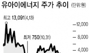 떠도는 說만 믿단 ‘쪽박’