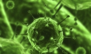 벨기에, 에이즈 바이러스 새 치료제 개발…완치실현되나