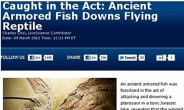 고대 괴물 물고기…바다 포식자 ‘아스피도린쿠스’, 익룡도 공격