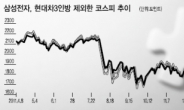 한국증시, 삼성·현대차 ‘투톱 쏠림’심화