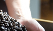 블론드 로스트·싱글 오리진…맞춤형 커피가 대세