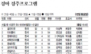 <경마 경주프로그램>