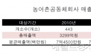 농어촌공동체회사, 지난해 매출 전년比 73%↑