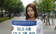 KDB대우證, ELS 6종 DLS 2종 공모