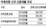 금융지주계열 저축銀 서민 돈줄 조였다