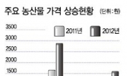 대파 217% 폭등…농산물값 금주 ‘정점’