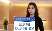 KDB대우證, ELS 6종 DLS 3종 공모