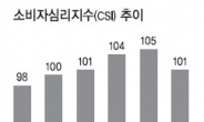 소비심리 5개월만에 하락