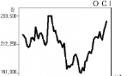 OCI 한달만에 13%급등…태양광株 서광 다시 비추나