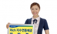 대구은행, Rich 지수연동예금 3종...한시 판매