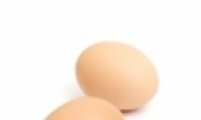 백화점 친환경 계란이 ‘최하위등급’ 판정