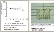 우리아이 키가 또래보다 10cm 더 큰 이유는?