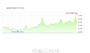 어려운 대내외 여건, 합병이 살길?…주가 기대감 vs 불확실성