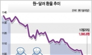 환율 하락으로 자본시장 안정성 훼손 우려..내수에도 오히려 부정적