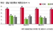 <대선 민심탐방 전국은 지금-부산·경남지역>   ‘다시한번’ 朴이냐… ‘부산사나이’ 文·安이냐