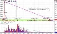 [메가트렌드] 2013년 유망기업! 4배나 올랐지만 12배가 남았다.