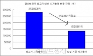 '안철수주'등 정치테마주 '거품',14조원 증발