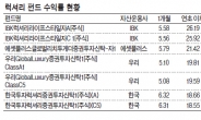 콧대높은 ‘럭셔리 펀드’…불황을 비웃다