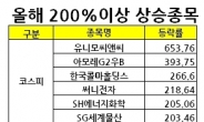 <굿바이 2012> 화장품 · 모바일 액세서리 ‘돈방석’