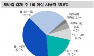 전자결제株, 전성기는 계속된다