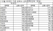 새해 뜰 종목, 외국인 기관 순매수 종목 보면 안다