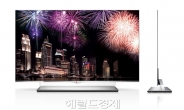 ‘꿈의 OLED TV’ 출시 … LG가 한 발 빨랐다