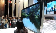 (CES 2013)한국 곡면-일본 화질-중국 대형화…여느때보다 치열한 한ㆍ중ㆍ일 TV 디스플레이 3국지
