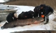 195kg 괴물 메기 “매운탕 500인분 너끈…대월척”