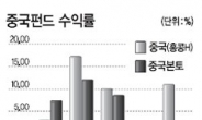 골든크로스 중국펀드…위험 감수한다면 ETF…보수적 투자자는 ELS…中진출 한국기업 주식