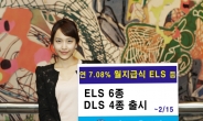 신한금융투자, ELS 6종과 DLS 4종 출시