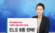 우리투자증권, 투자성향에 따라 다양한 상품 선택이 가능한 ELS 8종 판매