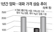 양파 1㎏에 2016원…1년새 4배 급등