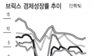 ‘브릭스판 세계은행’설립…새 경제공동체 꿈꾼다