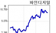 블랙박스株, 계속 상승할 수 있을까?