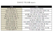 박근혜 정부는 ‘TF 공화국’