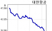 대한항공, ‘비상(飛上)을 기다리며’…4만원선 깨져