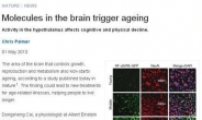 뇌 속 노화물질 발견, ‘생명 연장의 꿈 실현 가능’