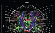 가천대 뇌과학연구소 연구팀, 세계 최초로 ‘뇌신경 지도’ 제작