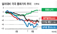 예상밖 강세…유로화 새 ‘오아시스’ 급부상