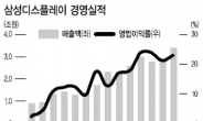 뜨는 디스플레이株 찜 해볼까