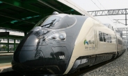 한국형 차세대 고속열차 ‘해무’ 실용화 위해 10만㎞ 시운전 개시