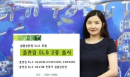 신영證, 실물상환형 ELS 등 ‘플랜업 ELS’ 2종 출시