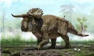 뿔 달린 공룡…신종 초식공룡 화석 발견