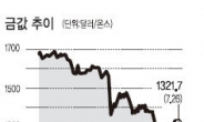 신흥국 골드러시 왜?